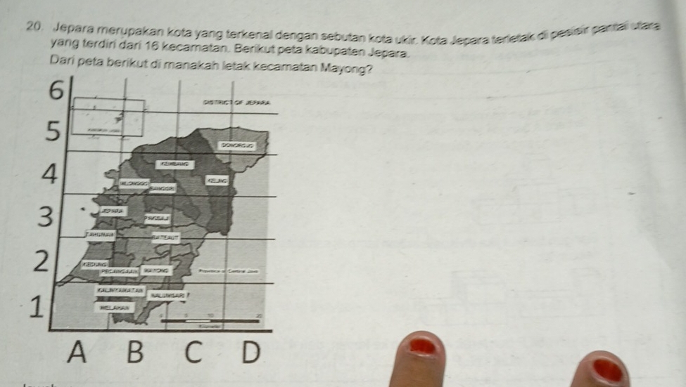 Jepara merupakan kota yang terkenal dengan sebutan kota ukir. Kota Jepara terletak di pesieir pantai stara 
yang terdiri dari 16 kecamatan. Berikut peta kabupaten Jepara. 
Dari peta berikut di manakah leatan Mayong?