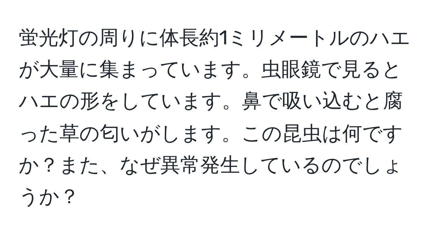 蛍光灯の周りに体長約1ミリメートルのハエが大量に集まっています。虫眼鏡で見るとハエの形をしています。鼻で吸い込むと腐った草の匂いがします。この昆虫は何ですか？また、なぜ異常発生しているのでしょうか？