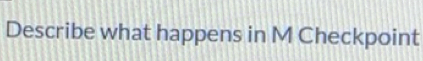 Solved: Describe what happens in M Checkpoint [Others]