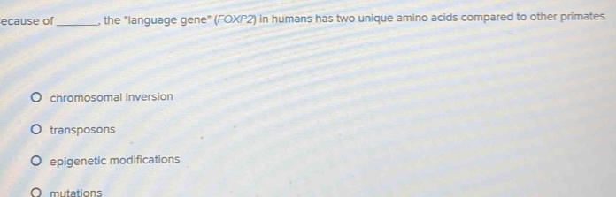 ecause of _, the "language gene" (FOXP2) in humans has two unique amino acids compared to other primates.
chromosomal inversion
transposons
epigenetic modifications
mutations