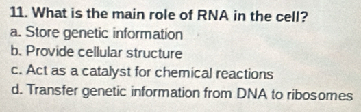 What is the main role of RNA in the cell?
a. Store genetic information
b. Provide cellular structure
c. Act as a catalyst for chemical reactions
d. Transfer genetic information from DNA to ribosomes