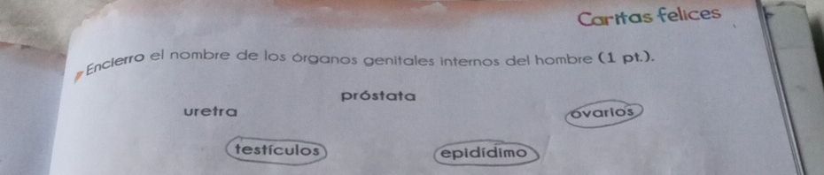 Caritas felices
# Encierro el nombre de los órganos genitales internos del hombre (1 pt.).
próstata
uretra
ovarios
testículos epidídimo