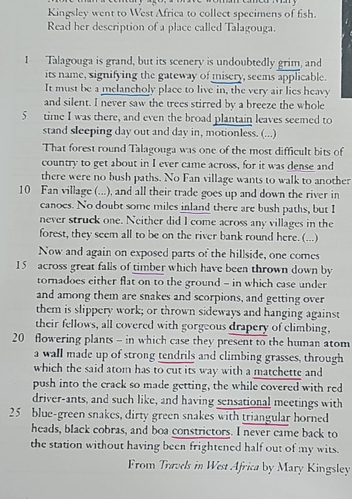 Kingsley went to West Africa to collect specimens of fish. 
Read her description of a place called Talagouga. 
1 Talagouga is grand, but its scenery is undoubtedly grim, and 
its name, signifying the gateway of miscry, seems applicable. 
It must be a mclancholy place to live in, the very air lies heavy 
and silent. I never saw the trees stirred by a breeze the whole 
5 time I was there, and even the broad plantain leaves seemed to 
stand sleeping day out and day in, motionless. (...) 
That forest round Talagouga was one of the most difficult bits of 
country to get about in I ever came across, for it was dense and 
there were no bush paths. No Fan village wants to walk to another
10 Fan village (...), and all their trade goes up and down the river in 
canoes. No doubt some miles inland there are bush paths, but I 
never struck one. Neither did I come across any villages in the 
forest, they seem all to be on the river bank round here. (...) 
Now and again on exposed parts of the hillside, one comes
15 across great falls of timber which have been thrown down by 
tornadoes either flat on to the ground - in which case under 
and among them are snakes and scorpions, and getting over 
them is slippery work; or thrown sideways and hanging against 
their fellows, all covered with gorgeous drapery of climbing,
20 flowering plants - in which case they present to the human atom 
a wall made up of strong tendrils and climbing grasses, through 
which the said atom has to cut its way with a matchette and 
push into the crack so made getting, the while covered with red 
driver-ants, and such like, and having sensational meetings with
25 blue-green snakes, dirty green snakes with triangular horned 
heads, black cobras, and boa constrictors. I never came back to 
the station without having been frightened half out of my wits. 
From Travels in West Africa by Mary Kingsley