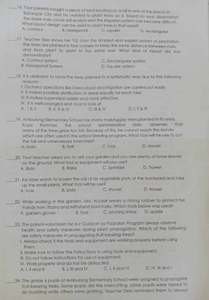 Your parents bought a piece of land located on a hill in one of the places in
Batangas City and he wanted to plant trees on it. Based on your observation
the slope may cause soil erosion and the irrigation system can become difficult.
What layout design can be used to plant trees in that area?
A. contour B. hexagonal C. square D. rectangular
_17. Teacher Elsie shows her TLE class the simplest and easiest system of plantation.
The trees are planted in four corners to keep the same distance between rows
and from plant to plant in the same row. What kind of layout did she
demonstrate?
A. Contour system C. Rectangular system
B. Hexagonal System D. Square system
_18. It is desirable to have the trees planted in a systematic way due to the following
reasons:
l. Orchard operations like intercultural and irrigation are carried out easily.
ll. It makes possible distribution of areas equally for each tree.
III. It makes supervision easier and more effective.
IV. It is well-arranged and nice to look at
A.Ⅰ &Ⅱ B. II, III & ⅣV C. Ⅲ & Ⅳ D. I,Ⅱ &Ⅲ
_19. Ambulong Elementary School has many malunggay trees planted in its area.
Kuya Rommel, the school administrative aide, observes that
many of the trees grow too tall. Because of this, he cannot reach the leaves
which are often used in the school feeding program. What tool will he use to cut
the tail and unnecessary branches?
A. bolo B. fork C. hoe D. shovel
_20. Your teacher asked you to visit your garden and you saw plenty of loose leaves
on the ground. What tool or equipment will you use?
A. Bolo B. Rake C. Sprinkler D. Trowel
_21. Ka Islaw wants to loosen the soil of his vegetable plots at the backyard and take
up the small plants. What tool will he use?
A. hoe B. bolo C. shovel D. trowel
_
22. While working in the garden, Mrs. Acuzar wears a strong rubber to protect her
hands from thorns and withstand punctures. Which tools below was used?
A. garden gloves B. hoe C. pruning shear D. spade
_23. The parent-volunteers for our Gulayan sa Paaralan Program always observe
health and safety measures during plant propagation. Which of the following
are safety measures in propagating fruit-bearing trees?
1. Always check if the tools and equipment are working properly before using
them.
II. Make sure to follow the instructions in using tools and equipment.
IIl. Do not follow instructions for use of equipment.
IV. Work properly and do not be distracted.
A. I, II and III B. I, III and IV C. I, II and IV D. IV, III and I
_24. The grade 6 pupils of Ambulong Elementary School were assigned to propagate
fruit-bearing trees. Some pupils did the marcotting, some pupils were tasked to
do budding while others were grafting. Teacher Dess reminded them to always