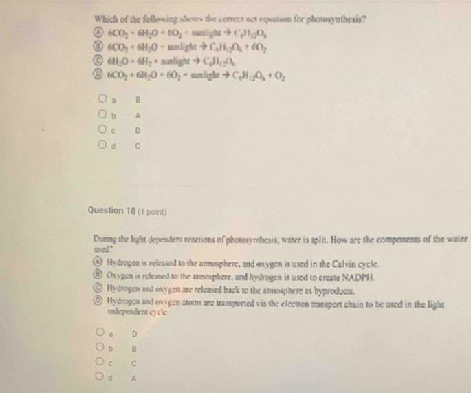 Which of the following shows the correct not equation for photosynthesis?
A 6CO_2+6H_2O+6O_2 sunlight to C_1H_12O_9
n 6CO_2+6H_2O+mu mlightto C_6H_12O_4+6O_2
6H_2O=6H_2+ 80° light +3 C_6H_12O_6
6CO_2+6H_2O+6O_2= sunlight to C_6H_12O_6+O_2
a B
b A
C D
d C
Question 18 (1 point)
During the light dependent reactions of photosynthesis, water is split. How are the components of the water
used."
④ Hydrogen is released to the atmosphere, and oxygen is used in the Calvin cycle.
@ Oxygen is released to the atmosphere, and hydrogen is used to create NADPH.
Hydrogen and oxygen are released back to the atmosphere as byproducts.
⑥ Hydrogen and oxygen atoms are transported via the electron transport chain to be used in the light
independent eycle.
a D
b B
c C
d A