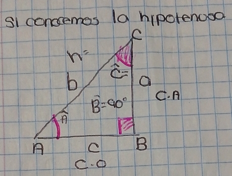 si concremes (a hipotenooo
C. ①