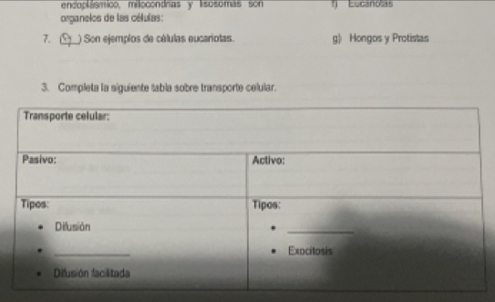 endoplásmico, milocondras y lisosomas son
organelos de las células: 1) Eucanoas
7. C ) Son ejempios de cólulas eucariotas. g) Hongos y Protistas
3. Completa la siguiente tabla sobre transporte celular.