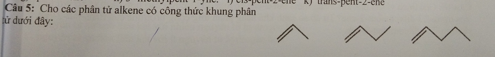 trans-pent-2-ene 
Câu 5: Cho các phân tử alkene có công thức khung phân 
tử dưới đây: