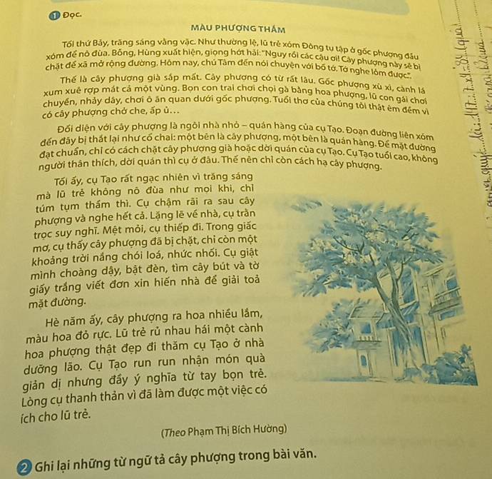 ① Đọc.
màu phượng thám
Tối thứ Bảy, trăng sáng vàng vậc. Như thường lệ, lũ trẻ xóm Đông tu tập ở gốc phượng đầu
xóm để nò đùa. Bỗng, Hùng xuất hiện, giọng hớt hải: "Nguy rồi các cậu ơi! Cây phượng này s bì
chặt để xã mở rộng đường. Hôm nay, chú Tâm đến nói chuyện với bố tớ, Tớ nghe lỏm được'''
Thể là cây phượng già sáp mất. Cảy phương có từ rất lâu. Gốc phượng xù xỉ, cành lá
xum xuê rợp mát cả một vùng. Bọn con trai chơi chọi gà bằng hoa phượng, lũ con gái chơi
chuyển, nhảy dây, chơi ô ăn quan dưới gốc phượng. Tuổi thơ của chúng tôi thật êm đềm về 5
có cây phượng chở che, ấp ủ. ..
Đối diện với cây phượng là ngôi nhà nhỏ - quán hàng của cụ Tạo. Đoạn đường liên xóm
đến đây bị thất lại như cố chai: một bên là cây phượng, một bên là quán hàng. Để mặt đường
đạt chuẩn, chỉ có cách chặt cây phương già hoặc dời quán của cụ Tạo. Cụ Tạo tuổi cao, không
người thân thích, dời quán thì cụ ở đâu. Thế nên chỉ còn cách hạ cay phương.
Tối ấy, cụ Tạo rất ngạc nhiên vì trăng sáng
mà lũ trẻ không nô đùa như mọi khi, chỉ
túm tụm thầm thì. Cụ chậm rãi ra sau cây
phượng và nghe hết cả. Lặng lẽ về nhà, cụ tràn
trọc suy nghĩ. Mệt mỏi, cụ thiếp đi. Trong giấc
mơ, cụ thấy cây phượng đã bị chặt, chỉ còn một
khoảng trời nắng chói loá, nhức nhối. Cụ giật
mình choàng dậy, bật đèn, tìm cây bút và tờ
giấy trắng viết đơn xin hiến nhà để giải toải
mặt đường.
Hè năm ấy, cây phượng ra hoa nhiều lầm,
màu hoa đỏ rực. Lũ trẻ rủ nhau hái một cành
hoa phượng thật đẹp đi thăm cụ Tạo ở nhà
dưỡng lão. Cụ Tạo run run nhận món quà
giản dị nhưng đầy ý nghĩa từ tay bọn trẻ.
Lòng cụ thanh thản vì đã làm được một việc có
ích cho lū trè.
(Theo Phạm Thị Bích Hường)
2 Ghi lại những từ ngữ tả cây phượng trong bài văn.