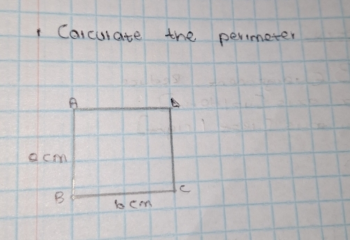 Caicurate the perimeter