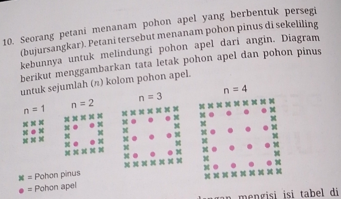 Seorang petani menanam pohon apel yang berbentuk persegi
(bujursangkar). Petani tersebut menanam pohon pinus di sekeliling
kebunnya untuk melindungi pohon apel dari angin. Diagram
berikut menggambarkan tata letak pohon apel dan pohon pinus
untuk sejumlah (π) kolom pohon apel.
n=3
n=1 n=2
BL∠ = Pohon pinus
= Pohon apel
g an  m  ngisi isi tabel di