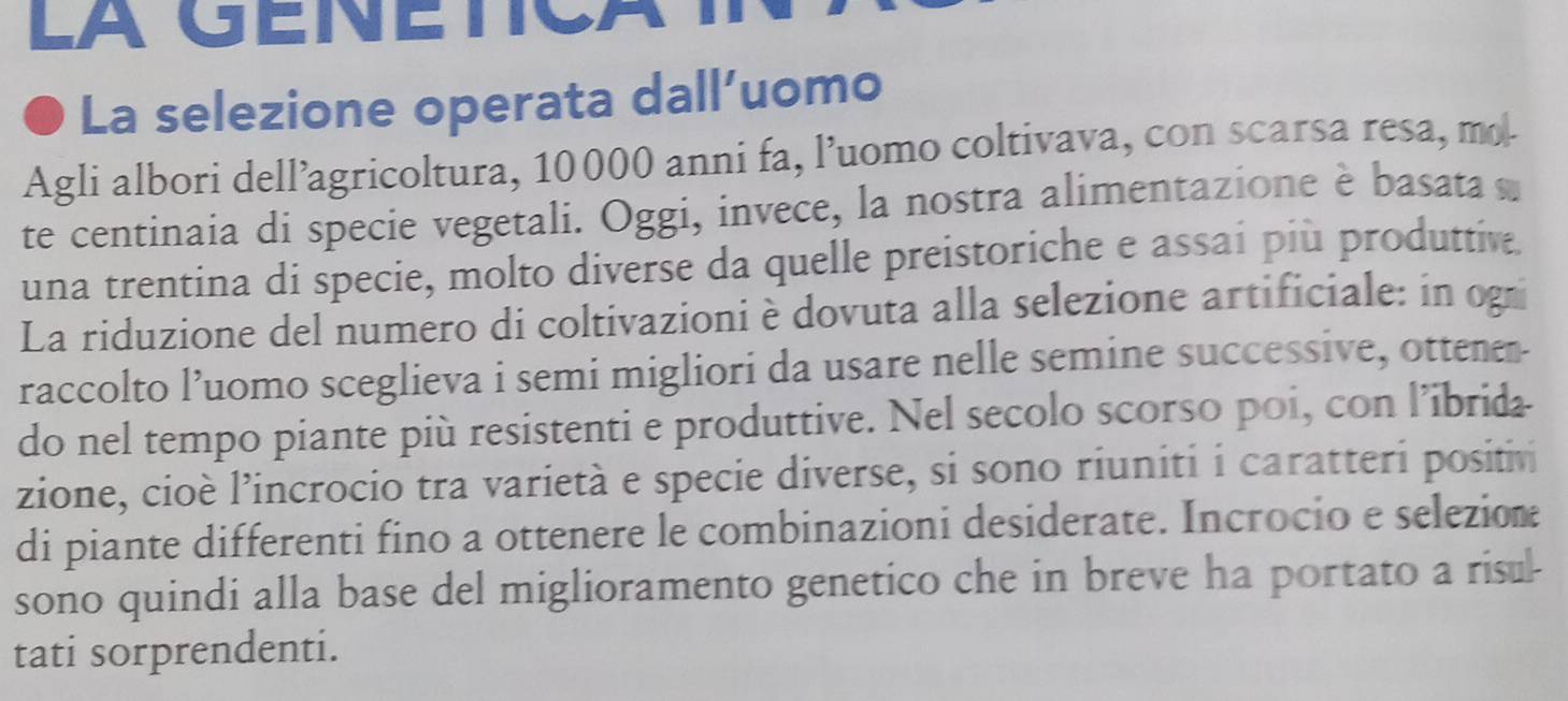 LÀ GENETICA T 
La selezione operata dall’uomo 
Agli albori dell’agricoltura, 10000 anni fa, l’uomo coltivava, con scarsa resa, mo 
te centinaia di specie vegetali. Oggi, invece, la nostra alimentazione è basata s 
una trentina di specie, molto diverse da quelle preistoriche e assai più produttive. 
La riduzione del numero di coltivazioni è dovuta alla selezione artificiale: in og 
raccolto l’uomo sceglieva i semi migliori da usare nelle semine successive, ottener 
do nel tempo piante più resistenti e produttive. Nel secolo scorso poi, con l’ibridæ 
zione, cioè l’incrocio tra varietà e specie diverse, si sono riuniti i caratteri positiv 
di piante differenti fino a ottenere le combinazioni desiderate. Incrocio e seleziom 
sono quindi alla base del miglioramento genetico che in breve ha portato a risul- 
tati sorprendenti.