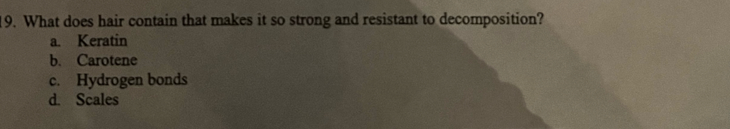 What does hair contain that makes it so strong and resistant to decomposition?
a. Keratin
b. Carotene
c. Hydrogen bonds
d. Scales