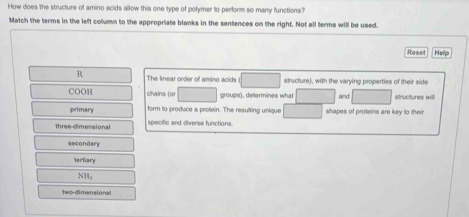 How does the structure of amino acids allow this one type of polymer to perform so many functions?
Match the terms in the left column to the appropriate blanks in the sentences on the right. Not all terms will be used.
Reset Help
R
The linear order of amino acids ( structure), with the varying properties of their side
COOH chains (or groups), determines what and structures will
primary form to produce a protein. The resulting unique shapes of proteins are key to their
three-dimensional specific and diverse functions.
secondary
tertiary
NH_2
two-dimensional