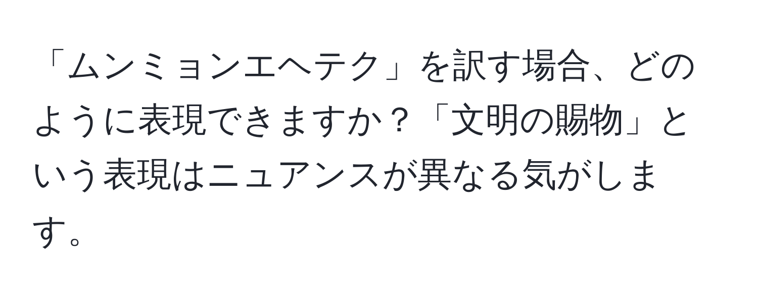 「ムンミョンエヘテク」を訳す場合、どのように表現できますか？「文明の賜物」という表現はニュアンスが異なる気がします。