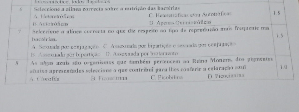 fotossintéctico, todos flagelados