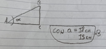 CONQ=18cm 3
15cm