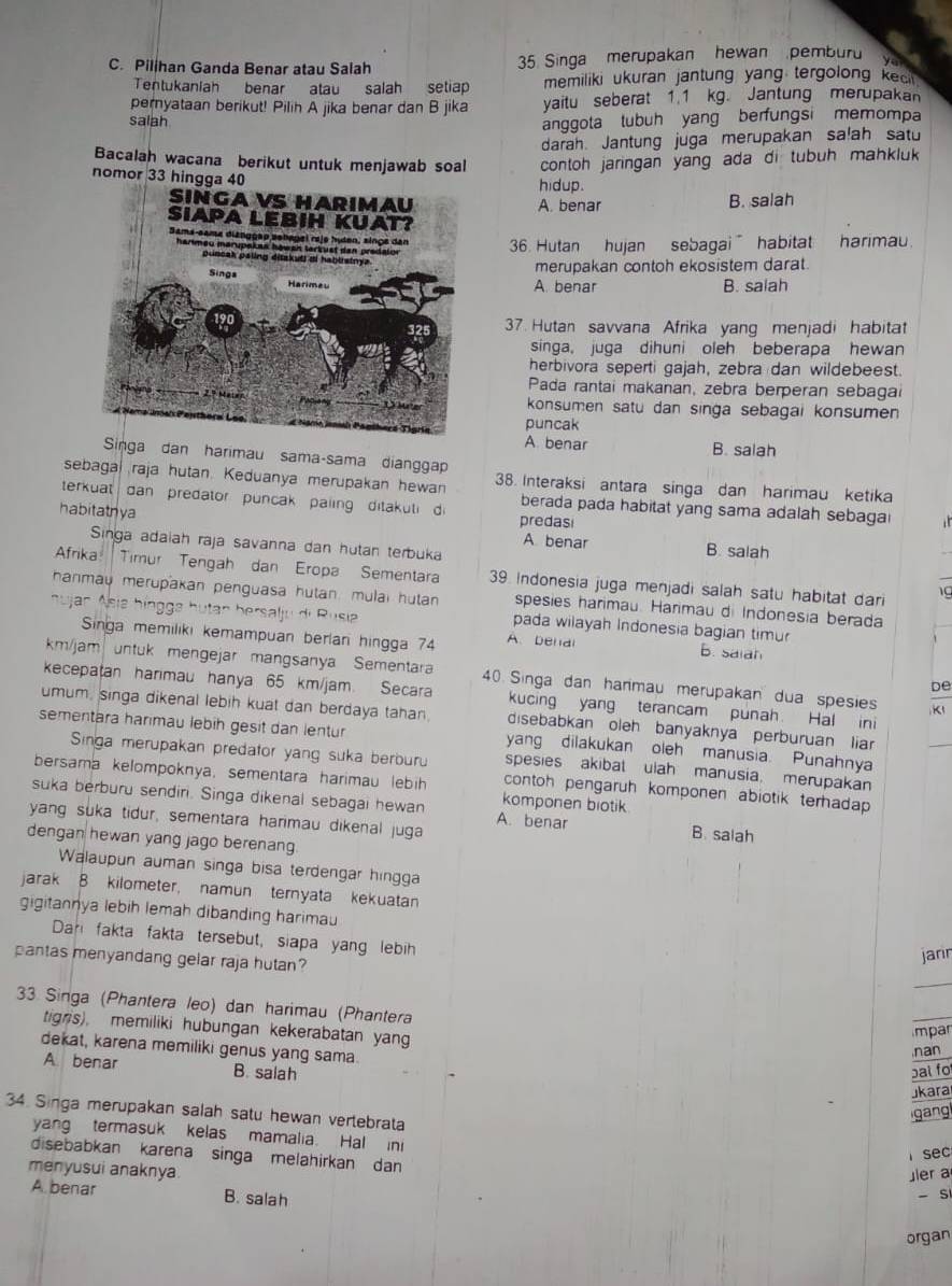 Pillhan Ganda Benar atau Saiah 35. Singa merupakan hewan  pembur    
Tentukaniah benar atau salah setiap memiliki ukuran jantung yang tergolong kec  
pernyataan berikut! Pilih A jika benar dan B jika yaitu seberat 1.1 kg. Jantung merupakan
saiah
anggota lubuh yang berfungsi memompa
darah. Jantung juga merupakan sa!ah satu
Bacalah wacana berikut untuk menjawab soal contoh jaringan yang ada di tubuh mahkluk 
nomor 33 hingga 40
hidup.
A. benar B. salah
36. Hutan hujan sebagai  habitat hərimau.
merupakan contoh ekosistem darat.
A. benar B. salah
37. Hutan savvana Afrika yang menjadi habitat
singa, juga dihuni oleh beberapa hewan
herbivora seperti gajah, zebra dan wildebeest.
Pada rantai makanan, zebra berperan sebagai
konsumen satu dan singa sebagai konsumen 
puncak
A. benar B. salah
Singa dan harimau sama-sama dianggap
sebagai raja hutan. Keduanya merupakan hewan 38. Interaksi antara singa dan harimau ketika
terkuat dan predator  puncak paling  ditakuti di berada pada habitat yang sama adalah sebaga
habitathya predas A benar B. salah
Singa adaiah raja savanna dan hutan terbuka
Afrika: Timur Tengah dan Eropa Sementara 39 Indonesia juga menjadi salah satu habitat dar 1g
hanmau merupakan penguasa hutan. mulai hutan spesies harimau. Harimau di Indonesia berada
nujan Ásia bingga hutan bersalju di Rusia A. benal pada wilayah Indonesia bagian timu B. saian
Singa memiliki kemampuan berlan hingga 74
km/jam untuk mengejar mangsanya Sementara 40 Singa dan hanmau merupakan dua spesies K
be
kecepatan harimau hanya 65 km/jam. Secara kucing yang terancam punah Hal ini
umum, singa dikenal lebih kuat dan berdaya tahan. disebabkan oleh banyaknya perburuan liar
sementara harimau lebih gesit dan lentur yang dilakukan oleh manusia. Punahnya
Singa merupakan predator yang suka berburu spesies akibal ulah manusia merupakan
bersama kelompoknya, sementara harimau lebih komponen biotik
contoh pengaruh komponen abiotik terhadap 
suka berburu sendiri. Singa dikenal sebagai hewan A. benar B. salah
yang suka tidur, sementara harimau dikenal juga
dengan hewan yang jago berenang
Walaupun auman singa bisa terdengar hingga
jarak 8 kilometer, namun ternyata kekuatan
gigitannya lebih lemah dibanding harimau
Dar fakta fakta tersebut, siapa yang lebih
pantas menyandang gelar raja hutan?
jarir
33 Singa (Phantera leo) dan harimau (Phantera
tignis). memiliki hubungan kekerabatan yang
mpar
dekat, karena memiliki genus yang sama.
nan
A benar B. salah pat fo
Jkara
34 Singa merupakan salah satu hewan vertebrata
gang
yang termasuk kelas mamalia. Hal ini
sec
disebabkan karena singa melahirkan dan
menyusui anaknya.
ier a
A benar B. salah
- si
organ