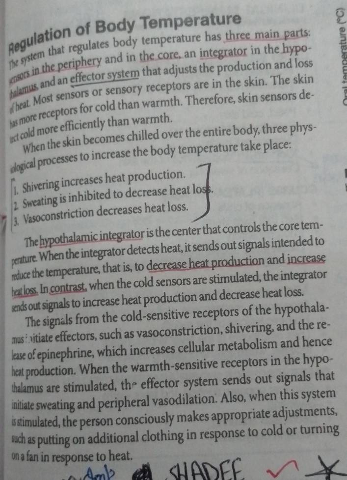 Regulation of Body Temperature 
The system that regulates body temperature has three main parts: 

ensors in the periphery and in the core, an integrator in the hypo 
halamus, and an effector system that adjusts the production and loss 
heat. Most sensors or sensory receptors are in the skin. The skin 
has more receptors for cold than warmth. Therefore, skin sensors de- 
lect cold more efficiently than warmth. 
When the skin becomes chilled over the entire body, three phys- 
ological processes to increase the body temperature take place: 
], Shivering increases heat production. 
1. Sweating is inhibited to decrease heat loss. 
3. Vasoconstriction decreases heat loss. 
The hypothalamic integrator is the center that controls the core tem- 
perature. When the integrator detects heat, it sends out signals intended to 
reduce the temperature, that is, to decrease heat production and increase 
heat loss. In contrast, when the cold sensors are stimulated, the integrator 
sends out signals to increase heat production and decrease heat loss. 
The signals from the cold-sensitive receptors of the hypothala- 
mus iitiate effectors, such as vasoconstriction, shivering, and the re- 
lease of epinephrine, which increases cellular metabolism and hence 
heat production. When the warmth-sensitive receptors in the hypo- 
thalamus are stimulated, the effector system sends out signals that 
initiate sweating and peripheral vasodilation. Also, when this system 
is stimulated, the person consciously makes appropriate adjustments, 
such as putting on additional clothing in response to cold or turning 
on a fan in response to heat. 
SWADEF