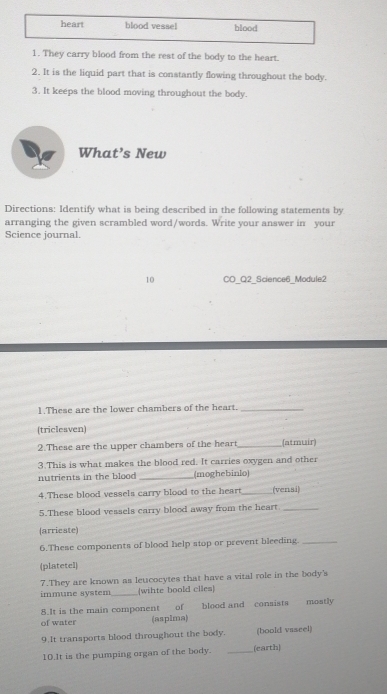 heart blood vessel blood 
1. They carry blood from the rest of the body to the heart. 
2. It is the liquid part that is constantly flowing throughout the body. 
3. It keeps the blood moving throughout the body. 
What’s New 
Directions: Identify what is being described in the following statements by 
arranging the given scrambled word/words. Write your answer in your 
Science journal. 
10 CO_Q2_Science6_Module2 
1 .These are the lower chambers of the heart._ 
(triclesven) 
2.These are the upper chambers of the heart_ (atmuir) 
3.This is what makes the blood red. It carries oxygen and other 
nutrients in the blood _(moghebinlo) 
4.These blood vessels carry blood to the heart_ (vensi) 
5.These blood vessels carry blood away from the heart_ 
(arrieste) 
6.These components of blood help stop or prevent bleeding._ 
(platetel) 
7.They are known as leucocytes that have a vital role in the body's 
immune system_ (wihte boold clles) 
8.It is the main component of blood and consists mostly 
of water (asplma) 
9.It transports blood throughout the body. (boold viseel) 
10.It is the pumping organ of the body. _(earth)