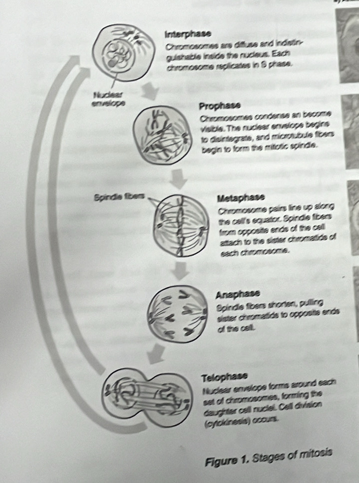 f
s
Figure 1.