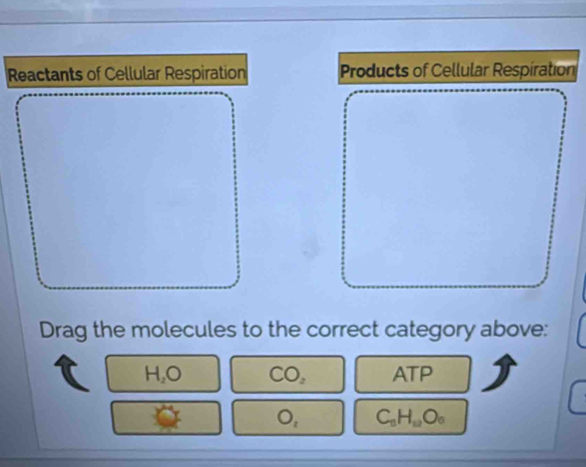 Reactants of Cellular Respiration Products of Cellular Respiration 
Drag the molecules to the correct category above:
H_2O ATP
CO_2
O_t
C_8H_10O_6