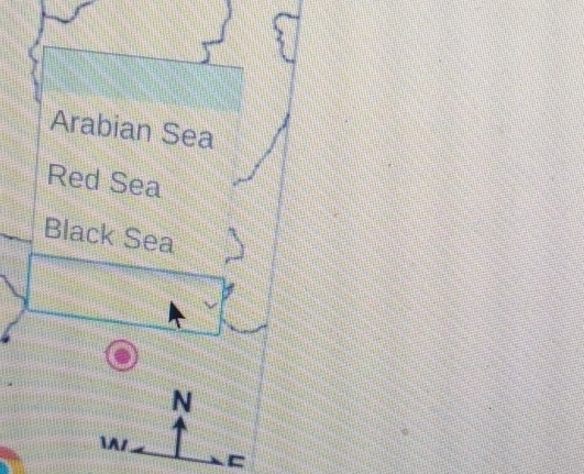 Arabian Sea
Red Sea
Black Sea
N

1
C