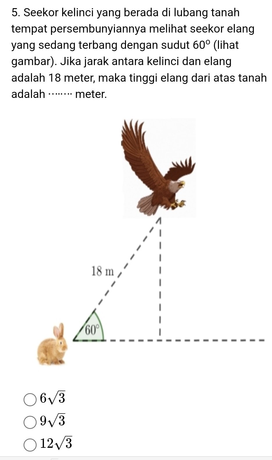 Seekor kelinci yang berada di lubang tanah
tempat persembunyiannya melihat seekor elang
yang sedang terbang dengan sudut 60° (lihat
gambar). Jika jarak antara kelinci dan elang
adalah 18 meter, maka tinggi elang dari atas tanah
adalah ········ meter.
6sqrt(3)
9sqrt(3)
12sqrt(3)