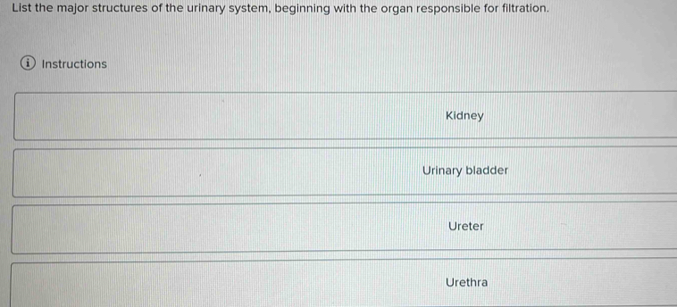 List the major structures of the urinary system, beginning with the organ responsible for filtration.
Instructions
Kidney
Urinary bladder
Ureter
Urethra