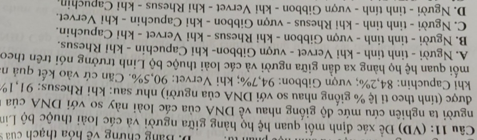 Bảng chưng về hóa thạch của y
Câu 11: (VD) Để xác định mối quan hệ họ hàng giữa người và các loài thuộc bộ Lin
người ta nghiên cứu mức độ giống nhau về DNA của các loài này so với DNA của
được (tính theo tỉ lệ % giống nhau so với DNA của người) như sau: khi Rhesus: 91, 1%
khi Capuchin: 84,2%; vượn Gibbon: 94,7%; khi Vervet: 90,5%. Căn cứ vào kết quả n
mối quan hệ họ hàng xa dần giữa người và các loài thuộc bộ Linh trưởng nói trên theo
A. Người - tinh tinh - khi Vervet - vượn Gibbon- khỉ Capuchin - khỉ Rhesus.
B. Người - tinh tinh - vượn Gibbon - khi Rhesus - khỉ Vervet - khỉ Capuchin.
C. Người - tinh tinh - khi Rhesus - vượn Gibbon - khỉ Capuchin - khi Vervet.
D. Người - tinh tính - vượn Gibbon - khi Vervet - khỉ Rhesus - khỉ Capuchin.