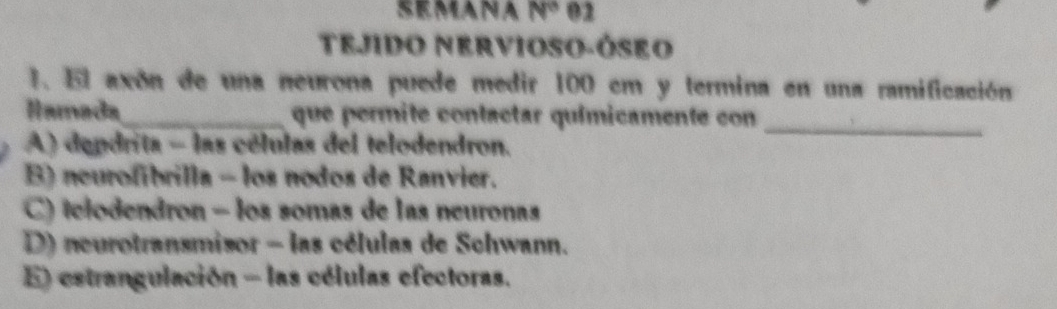 SEMANA N° 02
TEJIDO NERVIOSO-ÓSEo
1. El axón de una neurona puede medir 100 cm y termina en una ramificación
Hamada_ que permite contactar químicamente con
A) depdrita - las células del telodendron.
_
B) neurofibrilla - los nodos de Ranvier.
C) telodendron - los somas de las neuronas
D) neurotransmisor - las células de Schwann.
E) estrangulación - las células efectoras.