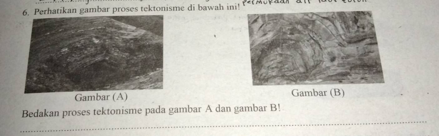 Perhatikan gambar proses tektonisme di bawah ini! p^e I Mukadnal 
Gambar (A) 
Gambar (B) 
_ 
Bedakan proses tektonisme pada gambar A dan gambar B!