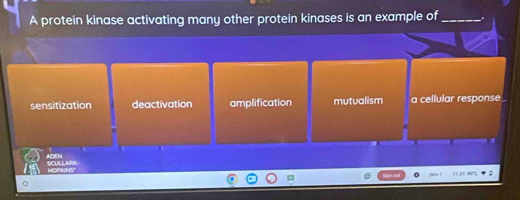 A protein kinase activating many other protein kinases is an example of _.
sensitization deactivation amplification mutualism a cellular response
ADEN
SCULLARK-
HOPKINS'