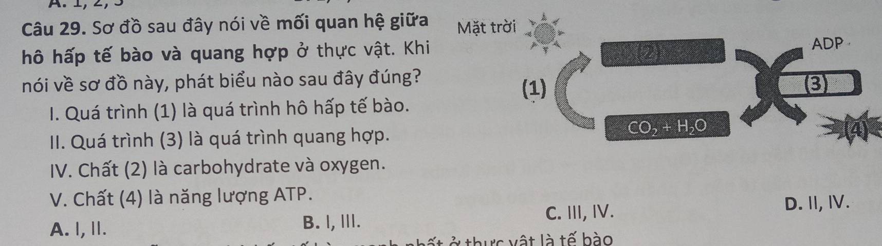 Sơ đồ sau đây nói về mối quan hệ giữa Mặt trời
hô hấp tế bào và quang hợp ở thực vật. Khi
2
ADP
nói về sơ đồ này, phát biểu nào sau đây đúng? (3)
(1)
I. Quá trình (1) là quá trình hô hấp tế bào.
II. Quá trình (3) là quá trình quang hợp.
CO_2+H_2O
IV. Chất (2) là carbohydrate và oxygen.
V. Chất (4) là năng lượng ATP.
C. III, IV.
D. II, IV.
A. I, Ⅱ.
B. l, III.
* th ự c v ật là tế bào