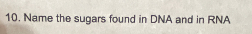 Name the sugars found in DNA and in RNA