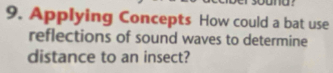 Applying Concepts How could a bat use 
reflections of sound waves to determine 
distance to an insect?