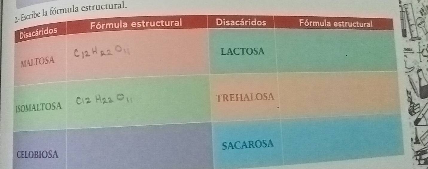 ula estructural.