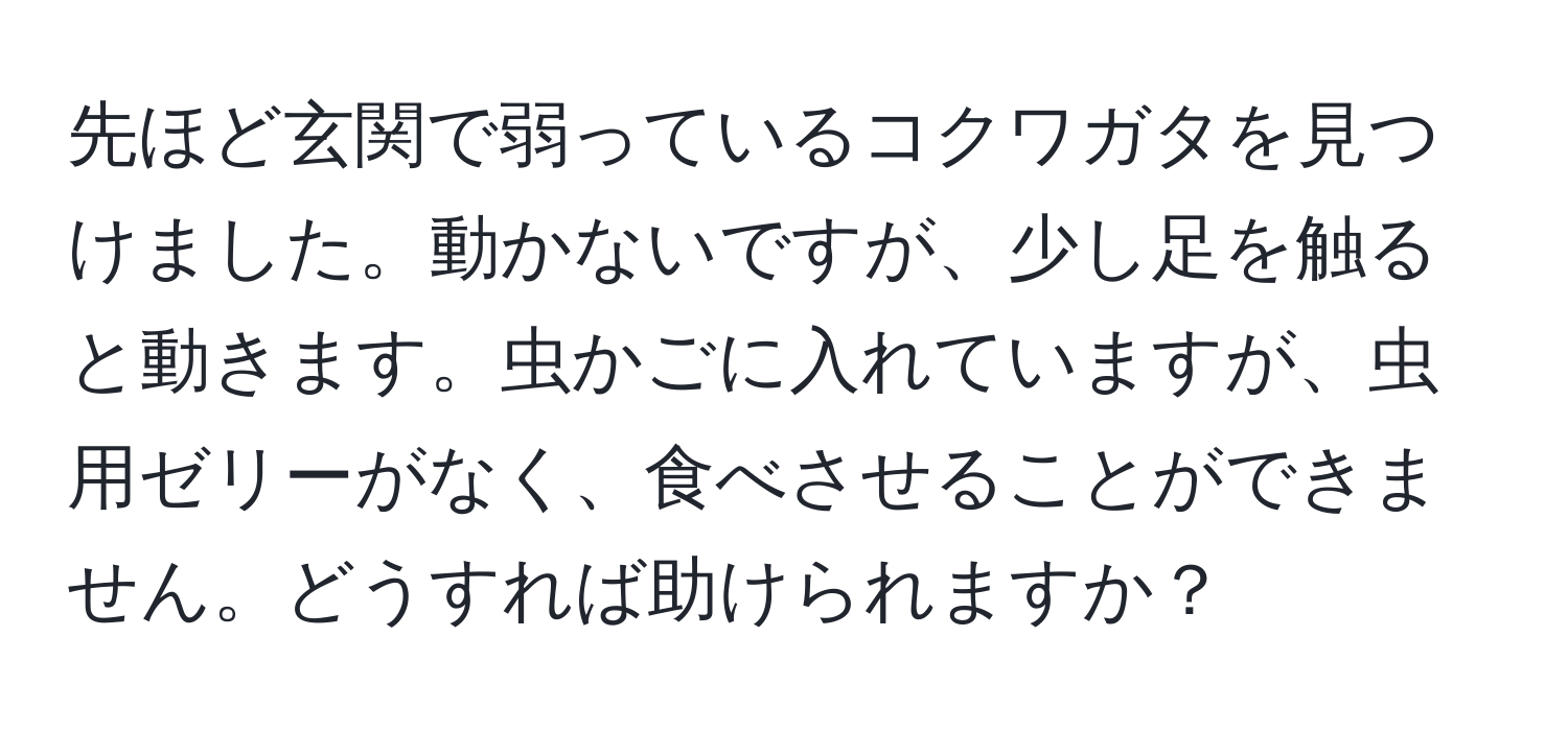 先ほど玄関で弱っているコクワガタを見つけました。動かないですが、少し足を触ると動きます。虫かごに入れていますが、虫用ゼリーがなく、食べさせることができません。どうすれば助けられますか？