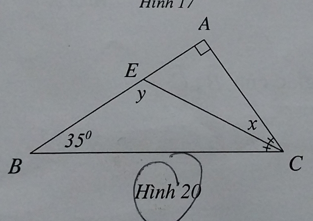 Hình 1 /