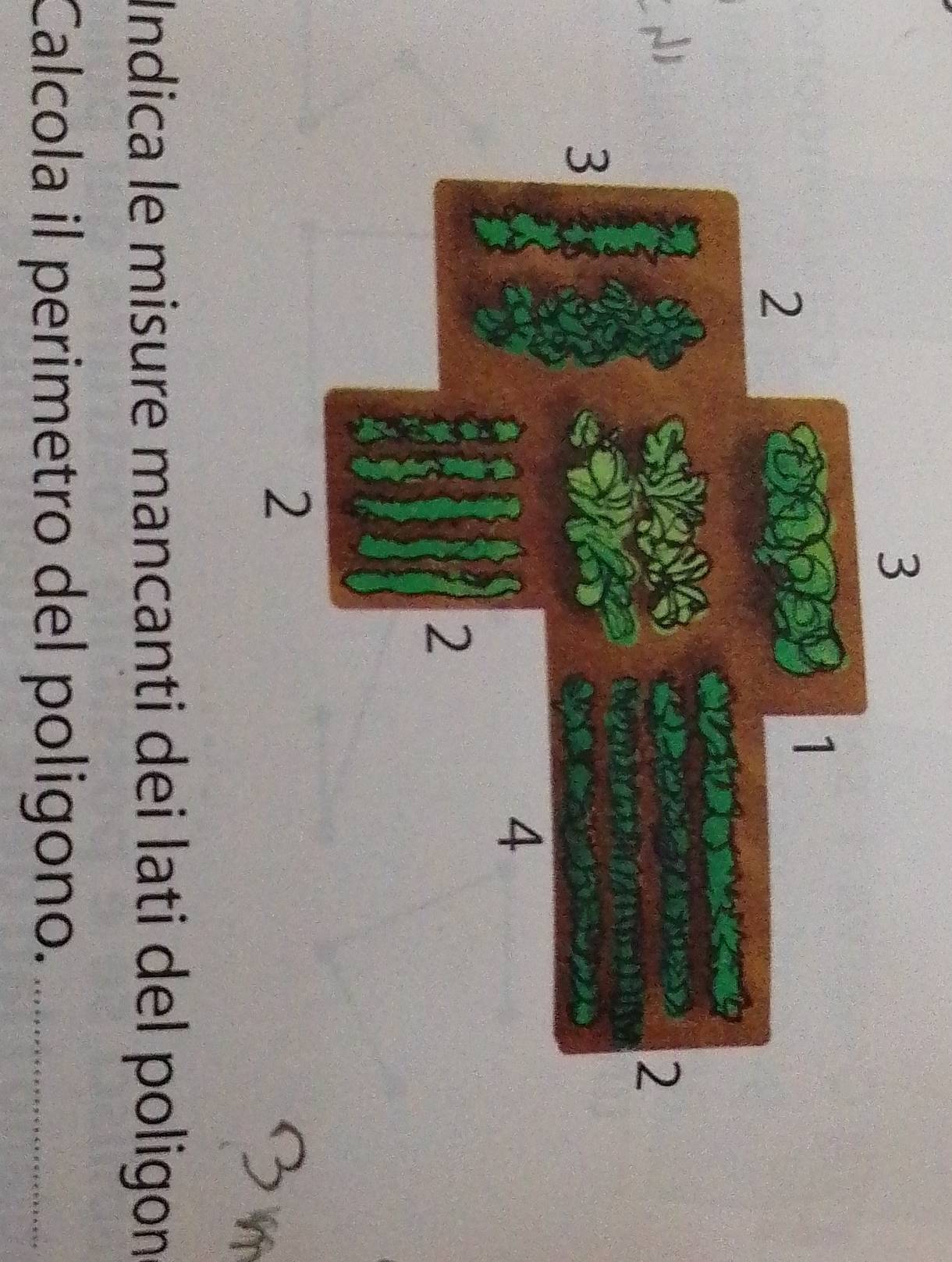 Indica le misure mancanti dei lati del poligon 
Calcola il perimetro del poligono._