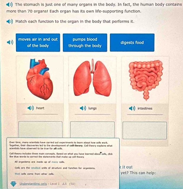 The stomach is just one of many organs in the body. In fact, the human body contains 
more than 70 organs! Each organ has its own life-supporting function. 
Match each function to the organ in the body that performs it. 
0) moves air in and out pumps blood 
of the body through the body digests food 
heart lungs intestines 
_ 
__ 
Over time, many scientists have carried out experiments to learn about how cells work. 
Together, their discoveries led to the development of cell theory. Cell theory explains what 
scientists have observed to be true for all cells. 
Cell theory includes three main concepts. Based on what you have learned about cells, click 
the blue words to correct the statements that make up cell theory. 
All organisms are made up of many cells. 
Cells are the smallest units of structure and function for organisms. k it out 
must cells come from other cells. yet? This can help: 
Understanding celis - Level I JL5 (50)