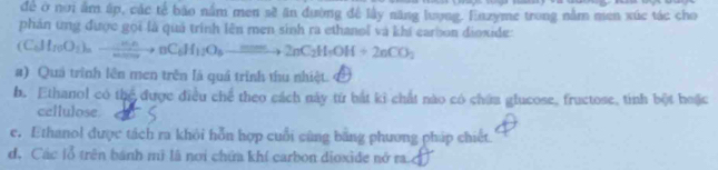 đề ở nơi âm áp, các tế bão nằm men sẽ ăn đường để lấy năng lượng. Einzyme trong nằm men xúc tác cho
phản ung được gọi là quả trình lên men sinh ra ethanol và khí carbon dioxide:
(C_6H_10O_3)_nto nC_6H_12O_3xrightarrow mn2nC_2H_nOH+2nCO_2
#) Quả trình lên men trên là quả trình thu nhiệt.
b. Ethanol có thể được điều chế theo cách này từ bắt ki chất nào có chứa glucose, fructose, tinh bột hoặc
cellulose.
e. Ethanol được tách ra khỏi hỗn hợp cuỗi cùng băng phương pháp chiết
đ, Các lỗ trên bánh mì là nơi chứa khí carbon dioxiđe nở ra.