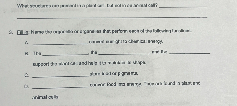 What structures are present in a plant cell, but not in an animal cell?_
_
3. Fill in: Name the organelle or organelles that perform each of the following functions.
A. _convert sunlight to chemical energy.
B. The _, the _, and the_
support the plant cell and help it to maintain its shape.
C. _store food or pigments.
D. _convert food into energy. They are found in plant and
animal cells.