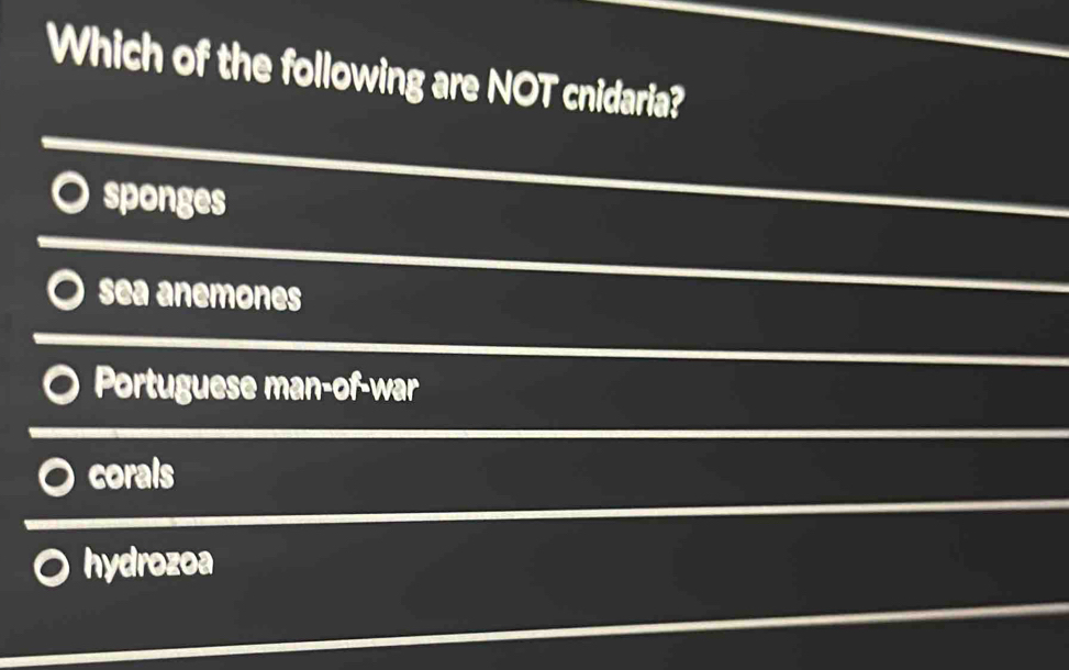 Which of the following are NOT cnidaria?
sponges
sea anemones
Portuguese man-of-war
corals
hydrozoa