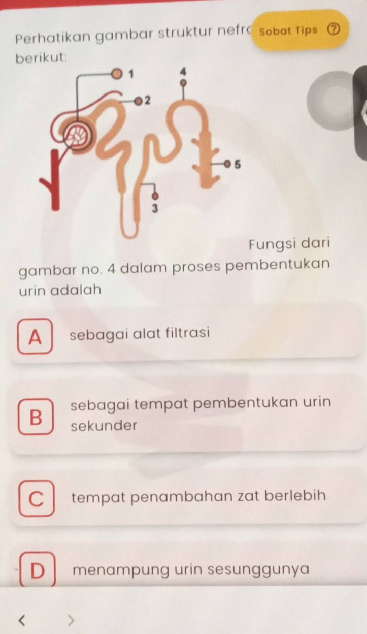 Perhatikan gambar struktur nefro sobat Tips
berikut:
ungsi dari
gambar no. 4 dalam proses pembentukan
urin adalah
A sebagai alat filtrasi
sebagai tempat pembentukan urin
B sekunder
C tempat penambahan zat berlebih
D menampung urin sesunggunya