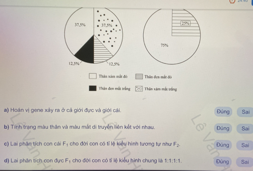 Thân xám mắt đỏ Thân đen mắt đỏ 
Thân đen mắt trắng Thâm xám mắt trắng 
a) Hoán vị gene xảy ra ở cả giới đực và giới cái. Đúng Sai 
b) Tính trạng màu thân và màu mắt di truyền liên kết với nhau. Đúng Sai 
c) Lai phân tích con cái F_1 cho đời con có tỉ lệ kiểu hình tương tự như F_2. Đúng Sai 
d) Lai phân tích con đực F_1 cho đời con có tỉ lệ kiểu hình chung là 1:1:1:1. Đúng Sai