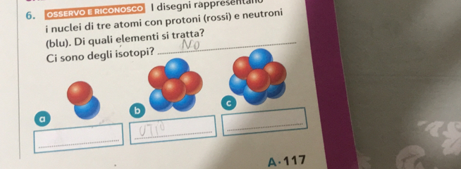 oSErvo E riconosco I disegni rappresenta 
i nuclei di tre atomi con protoni (rossi) e neutroni 
(blu). Di quali elementi si tratta? 
Ci sono degli isotopi? 
_ 
a 
_ 
_ 
A. 117