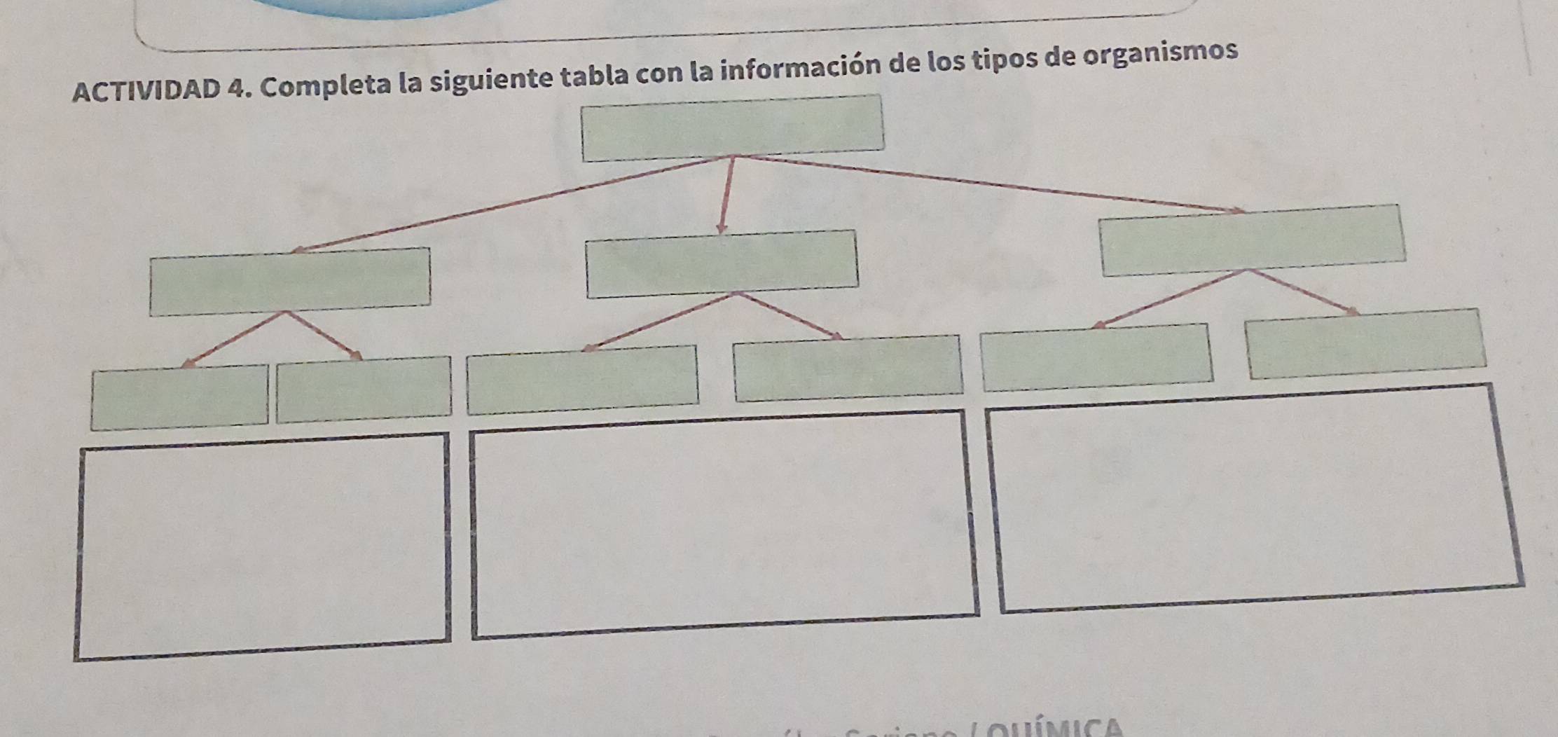 ACTIVIDAD 4. Completa la siguiente tabla con la información de los tipos de organismos