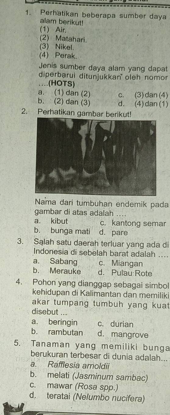 Perhatikan beberapa sumber daya
alam berikut!
(1) Air.
(2) Matahari.
(3) Nikel.
(4) Perak.
Jenis sumber daya alam yang dapat
diperbarui ditunjukkan oleh nomo
.(HOTS)
a. (1) dan (2) c. (3) dan(4)
b. (2) dan (3) d. (4) dan(1)
2. Perhatikan gambar berikut!
Nama dari tumbuhan endemik pada
gambar di atas adalah …
a. kibut c. kantong semar
b. bunga mati d. pare
3. Salah satu daerah terluar yang ada di
Indonesia di sebelah barat adalah ....
a. Sabang c. Miangan
b. Merauke d. Pulau Rote
4. Pohon yang dianggap sebagai simbol
kehidupan di Kalimantan dan memiliki
akar tumpang tumbuh yang kuat
disebut ...
a. beringin c. durian
b. rambutan d. mangrove
5. Tanaman yang memiliki bunga
berukuran terbesar di dunia adalah...
a. Rafflesia arnoldii
b. melati (Jasminum sambac)
c. mawar (Rosa spp.)
d. teratai (Nelumbo nucifera)