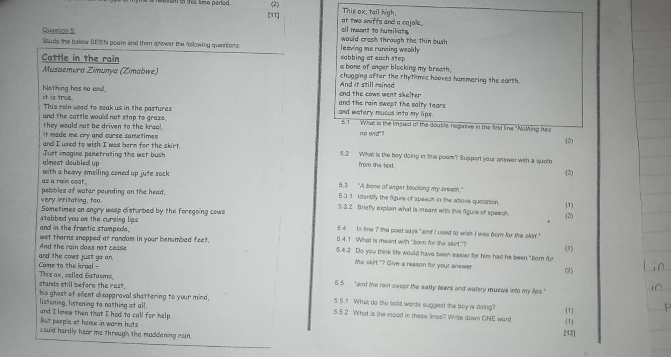 elevant to this time perod. (2) This ox, tail high,
[11] at two sniffs and a cajole.
all meant to humiliats
Question 5: would crash through the thin bush
Study the below SEEN poem and then answer the following questions: leaving me running weakly
sobbing at each step
Cattle in the rain a bone of anger blocking my breath,
Musaemura Zimunya (Zimabwe) chugging after the rhythmic hooves hammering the earth
And it still rained
Nothing has no end, and the cows went skelter
it is true. and the rain swept the salty tears
This rain used to soak us in the pastures and watery mucus into my lips.
and the cattle would not stop to graze, 5.1 What is the impact of the double negative in the first line “Nothing has
they would not be driven to the kraal, no end"?
it made me cry and curse sometimes
and I used to wish I was born for the skirt.
(2)
Just imagine penetrating the wet bush
5.2 What is the boy doing in this poem? Support your answer with a quote
almost doubled up
from the text.
with a heavy smelling coned up jute sack (2)
as a rain coat.
5.3 "A bone of anger blocking my breath."
pebbles of water pounding on the head, (1)
5.3.1 Identify the figure of speech in the above quotation.
very irritating, too
5.3.2 Briefly explain what is meant with this figure of speech.
Sometimes an angry wasp disturbed by the foregoing cows
stabbed you on the cursing lips (2)
5.4 In line 7 the poet says "and I used to wish I was born for the skirt."
and in the frantic stampede, 5.4.1 What is meant with "born for the skirt."? (1)
wet thorns snapped at random in your benumbed feet.
And the rain does not cease
5.4.2 Do you think life would have been easier for him had he been "born for
and the cows just go on. (2)
Come to the kraal -
the skirt."? Give a reason for your answer
This ox, called Gatooma, 5.5 “and the rain swept the salty tears and watery mucus into my lips."
stands still before the rest,
his ghost of silent disapproval shattering to your mind, 5 5.1 What do the bold words suggest the boy is doing?
listening, listening to nothing at all, 5.5.2 What is the mood in these lines? Write down ONE word
and I knew then that I had to call for help. (1)
But people at home in warm huts (1)
could hardly hear me through the maddening rain.
[12]